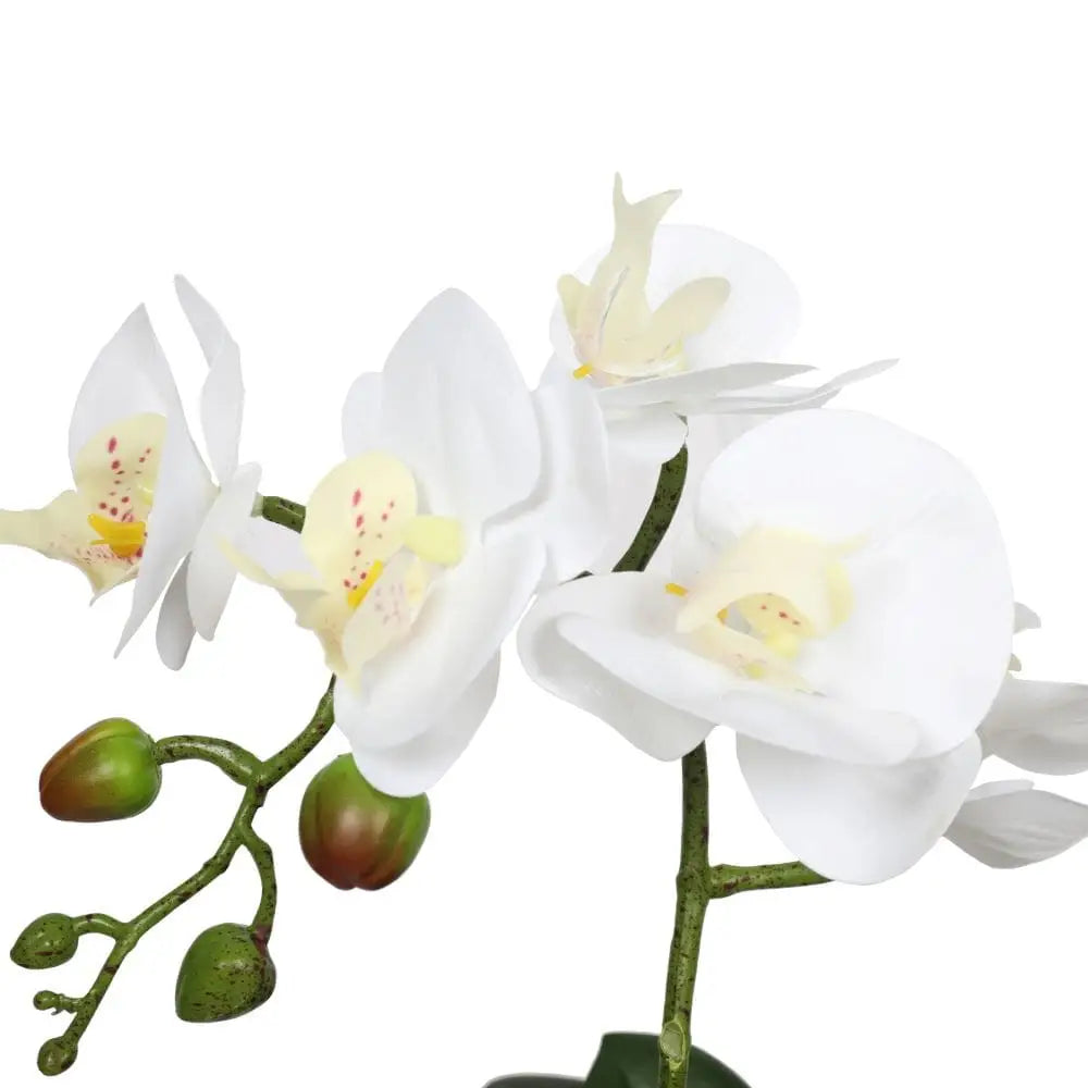 Potted Single Stem White Phalaenopsis Orchid with Decorative Pot 35cm - Home & Garden > Artificial Plants
