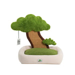 Potted style cat bed cat scratching post warm pet nest - Pet Care > Toys > Cat Toys