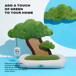 Potted style cat bed cat scratching post warm pet nest - Pet Care > Toys > Cat Toys