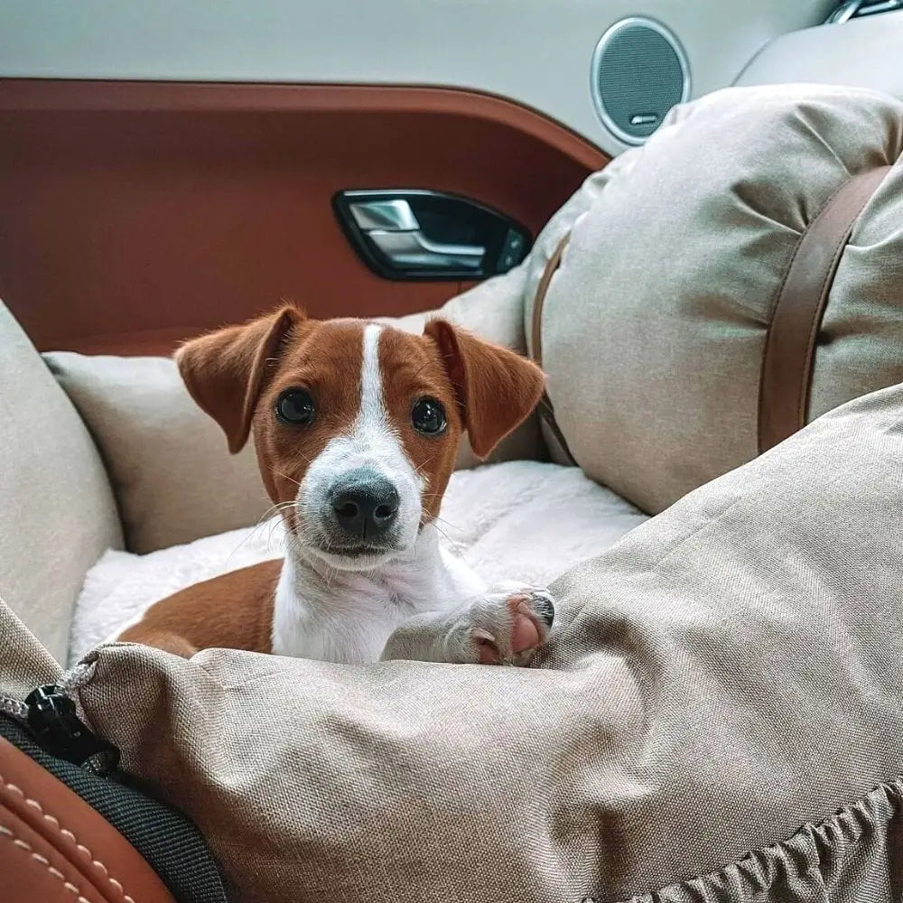 Premium Dog Booster Seat for Small Pets - Pet Care > Cat Supplies > Cat Carriers & Crates