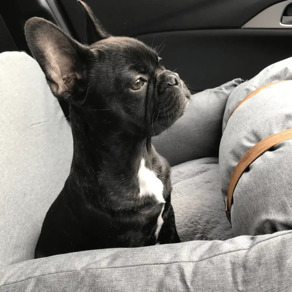 Premium Dog Booster Seat for Small Pets - Pet Care > Cat Supplies > Cat Carriers & Crates