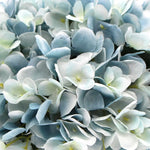 Premium Faux Hydrangea With Glass Vase (Artificial Flowering Blue Hydrangea) 23cm - Home & Garden > Home & Garden Others