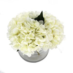 Premium Faux Hydrangea With Glass Vase (Artificial Flowering White Hydrangea) 23cm - Home & Garden > Home & Garden