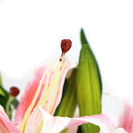 Premium Faux Pink Lily In Glass Vase (Artificial Tiger Lily Arrangement) - Home & Garden > Home & Garden Others