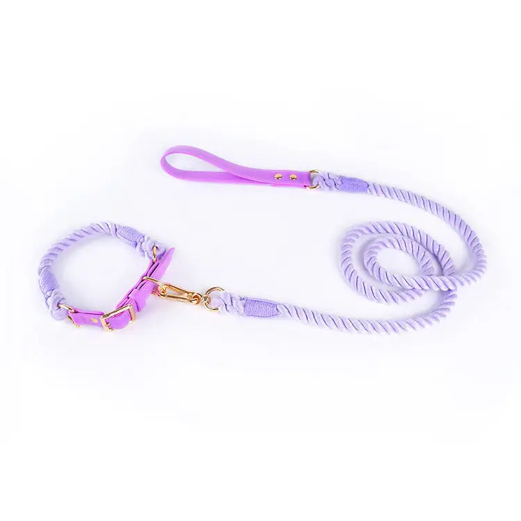 Premium Leather Pet Collar and Leash - Soft Strong Braided Rope (Purple - Size S) - Pet Care > Dog Supplies > Dog