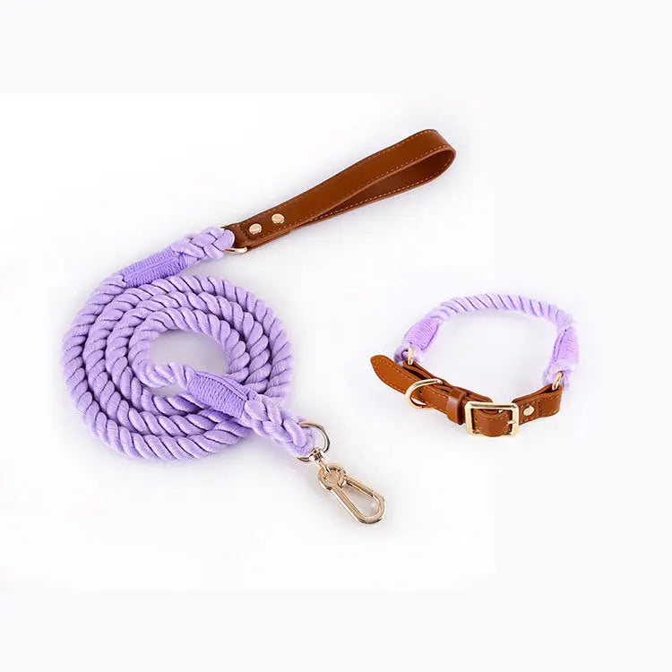 Premium Leather Pet Collar and Leash - Soft Strong Braided Rope (Purple - Size L) - Pet Care > Dog Supplies > Dog