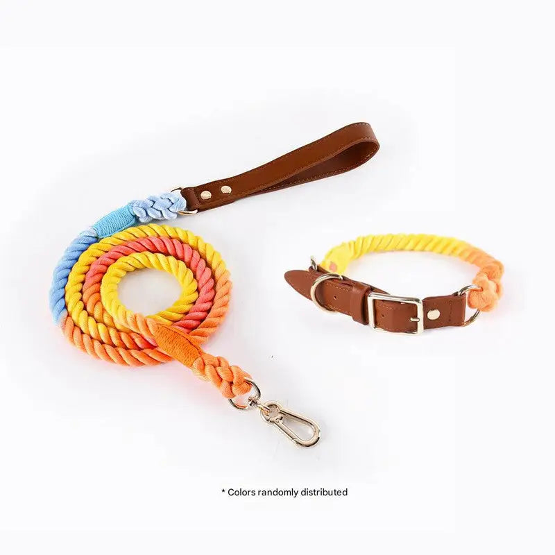 Premium Leather Pet Collar and Leash - Soft Strong Braided Rope (Iridescent Red - Size S) - Pet Care > Dog Supplies >