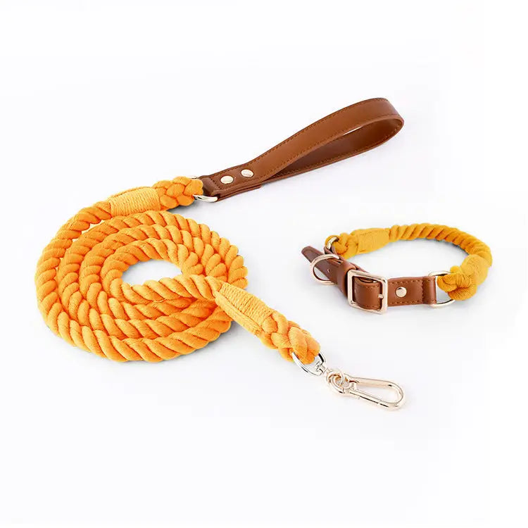 Premium Leather Pet Collar and Leash - Soft Strong Braided Rope (Honey orange - Size M) - Pet Care > Dog Supplies > Dog