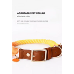 Premium Leather Pet Collar and Leash - Soft Strong Braided Rope (Green - Size M) - Pet Care > Dog Supplies > Dog