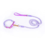 Premium Leather Pet Collar and Leash - Soft Strong Braided Rope (Purple - Size M) - Pet Care > Dog Supplies > Dog