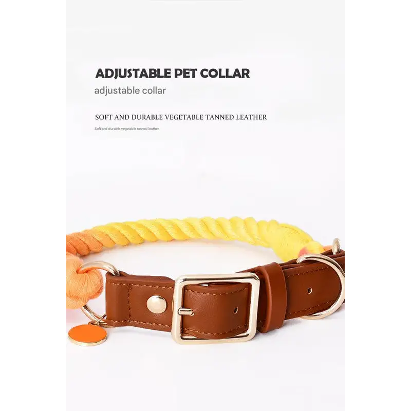 Premium Leather Pet Collar and Leash - Soft Strong Braided Rope (Green - Size S) - Pet Care > Dog Supplies > Dog