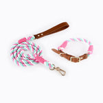 Premium Leather Pet Collar and Leash - Soft Strong Braided Rope (Pink green - Size L) - Pet Care > Dog Supplies > Dog