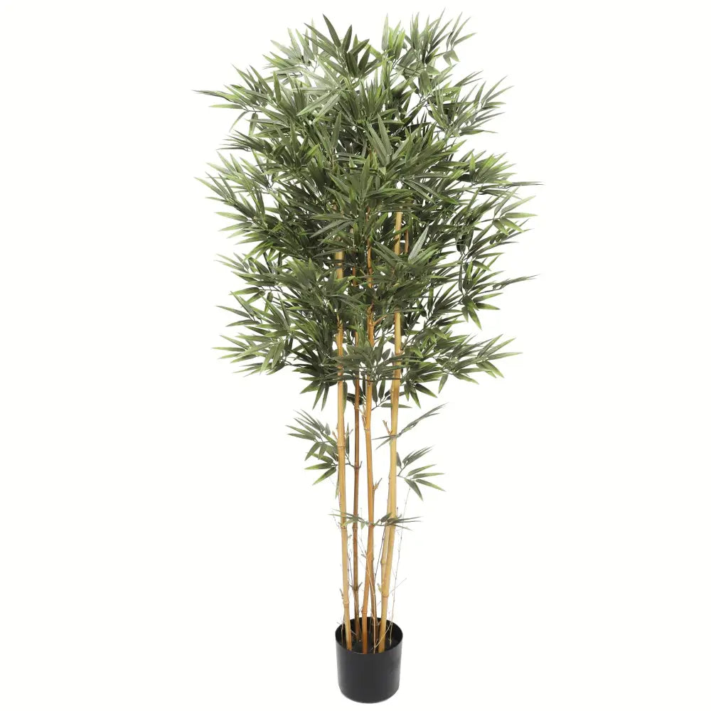 Premium Natural Cane Artificial Bamboo (UV Resistant) 150cm - Home & Garden > Home & Garden Others