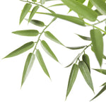 Premium Natural Cane Artificial Bamboo (UV Resistant) 180cm - Home & Garden > Artificial Plants