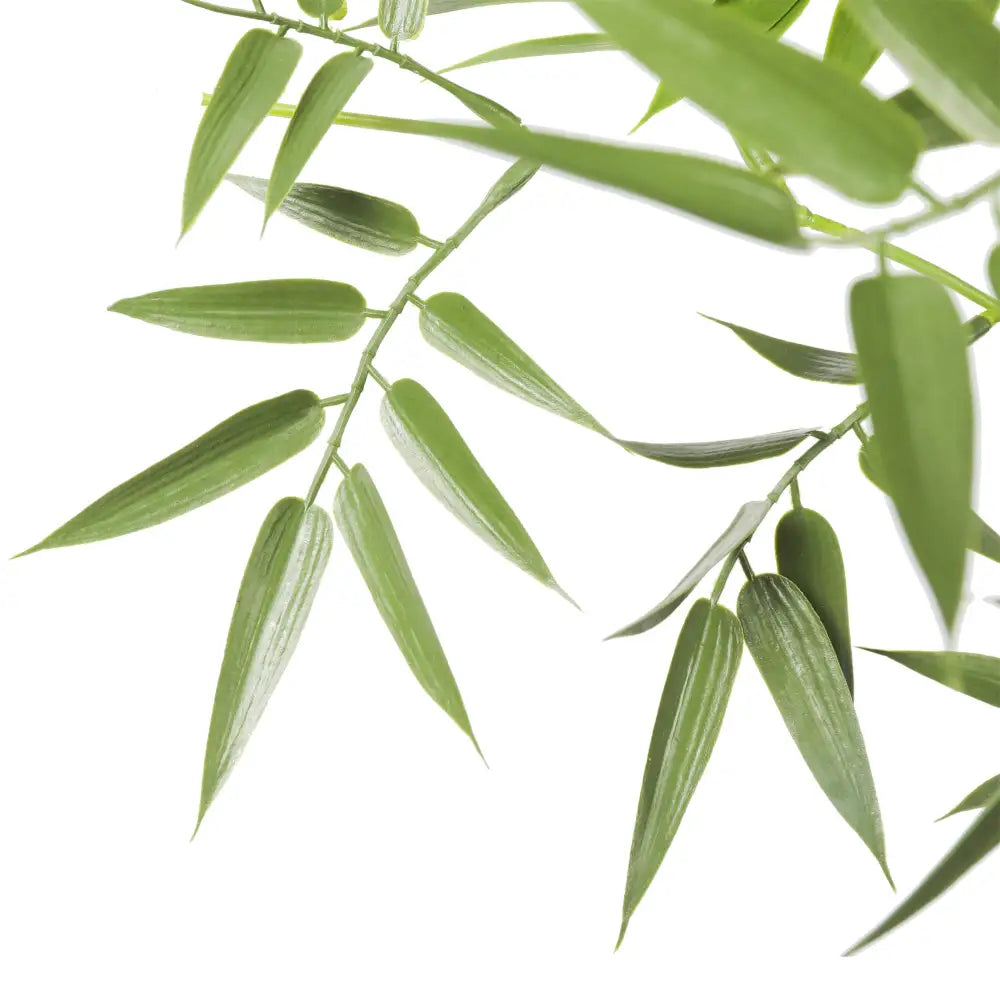 Premium Natural Cane Artificial Bamboo (UV Resistant) 180cm - Home & Garden > Artificial Plants