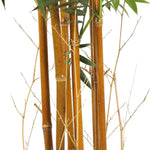 Premium Natural Cane Artificial Bamboo (UV Resistant) 180cm - Home & Garden > Artificial Plants