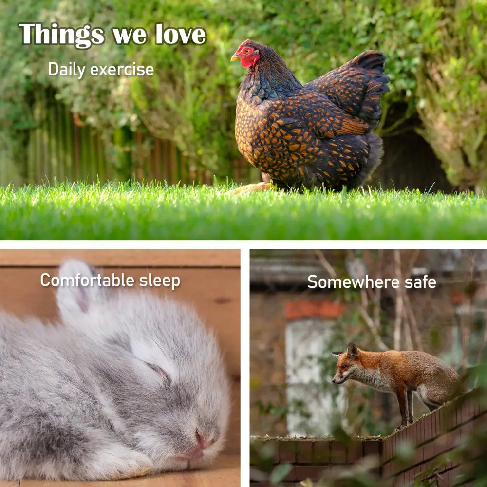 Rabbit Hutch Chicken Coop 147cm 2 Storey Pet Cage Run GRACIE - Pet Care > Coops & Hutches > Coop & Hutch Accessories