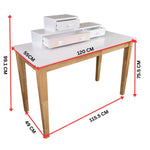 Reader Kids Children Study Computer Desk 120cm Table Rubber Wood - Pink - Furniture > Office