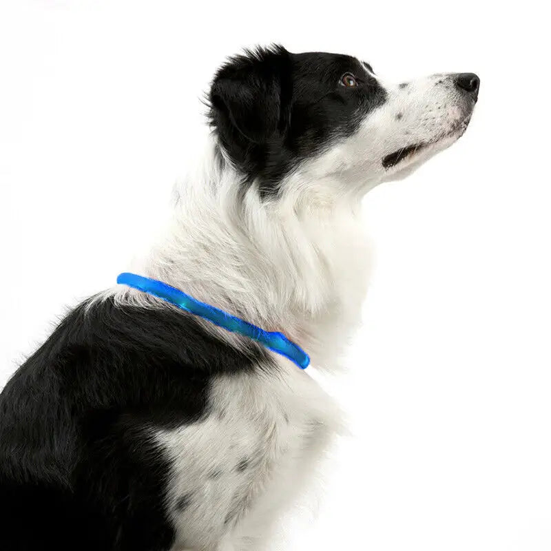 Rechargeable Night LED Dog Collar USB Glow Flashing Light Up Pet Collars Safety-Blue-Diameter Length-50cm - Home &