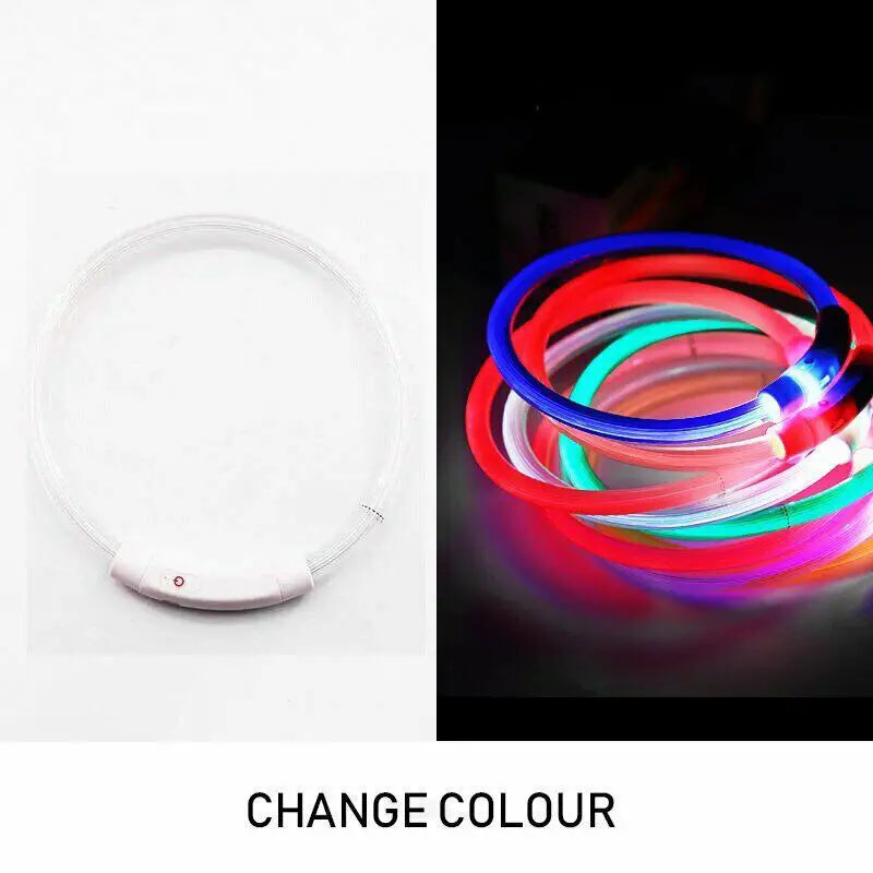 Rechargeable Night LED Dog Collar USB Glow Flashing Light Up Pet Collars Safety-Blue-Diameter Length-50cm - Home &