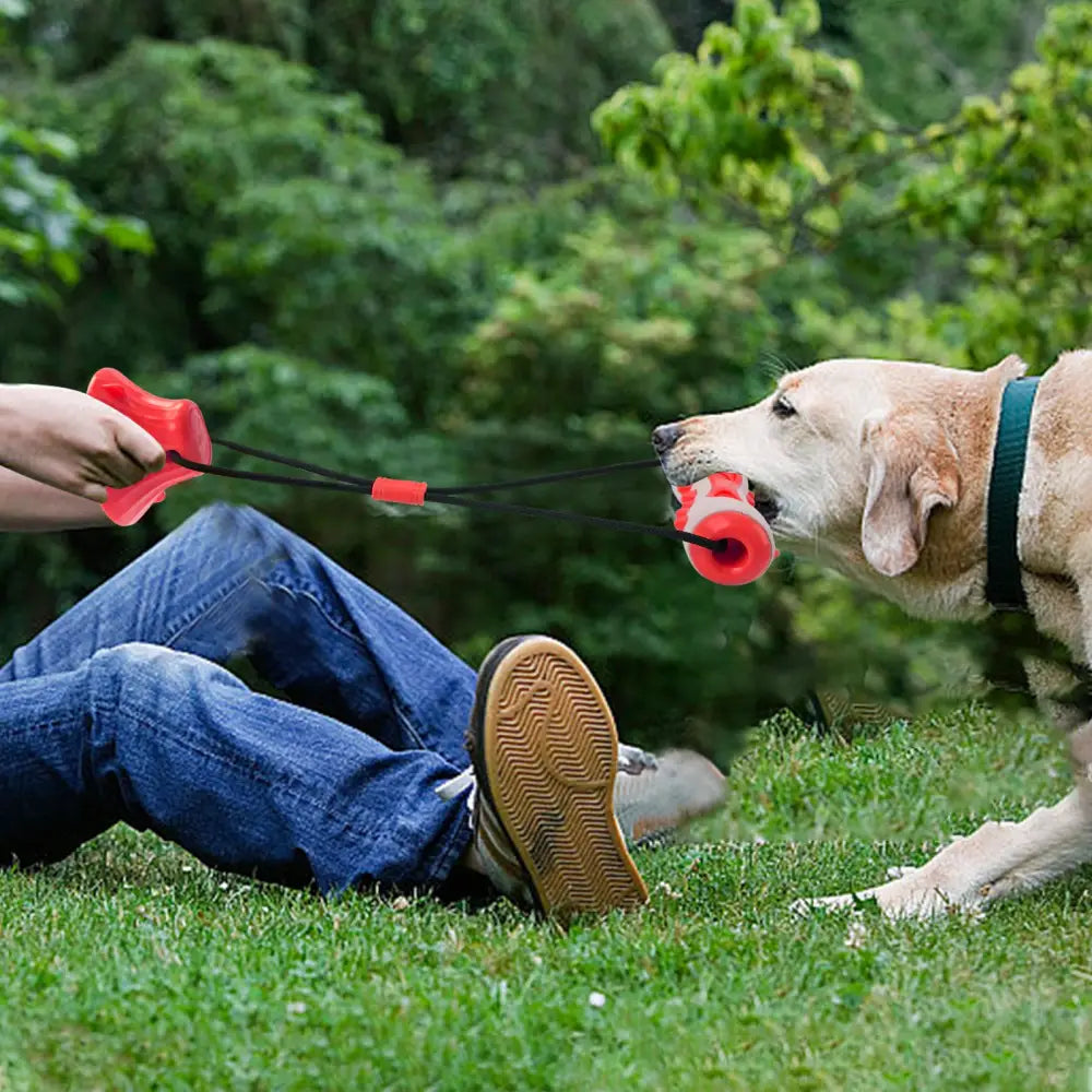 Red Interactive Dog Suction Cup Tug Toy - Durable TPR Chew & Treat Dispenser for Teeth Cleaning & Solo Play - Pet Care
