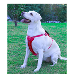 Reflective Dog Harness with Leash No-Pull Vest Harness for Dogs Adjustable Dog Vest with Handle Walking Training Pet