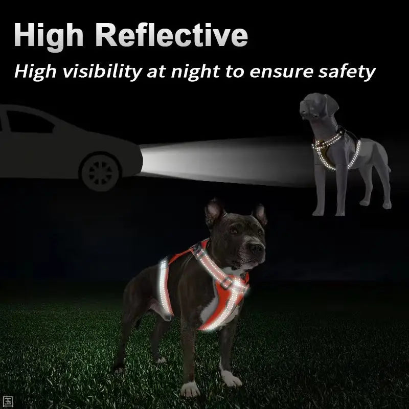 Reflective Dog Harness with Leash No-Pull Vest Harness for Dogs Adjustable Dog Vest with Handle Walking Training Pet
