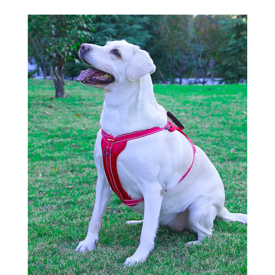 Reflective Dog Harness with Leash No-Pull Vest Harness for Dogs Adjustable Dog Vest with Handle Walking Training Pet