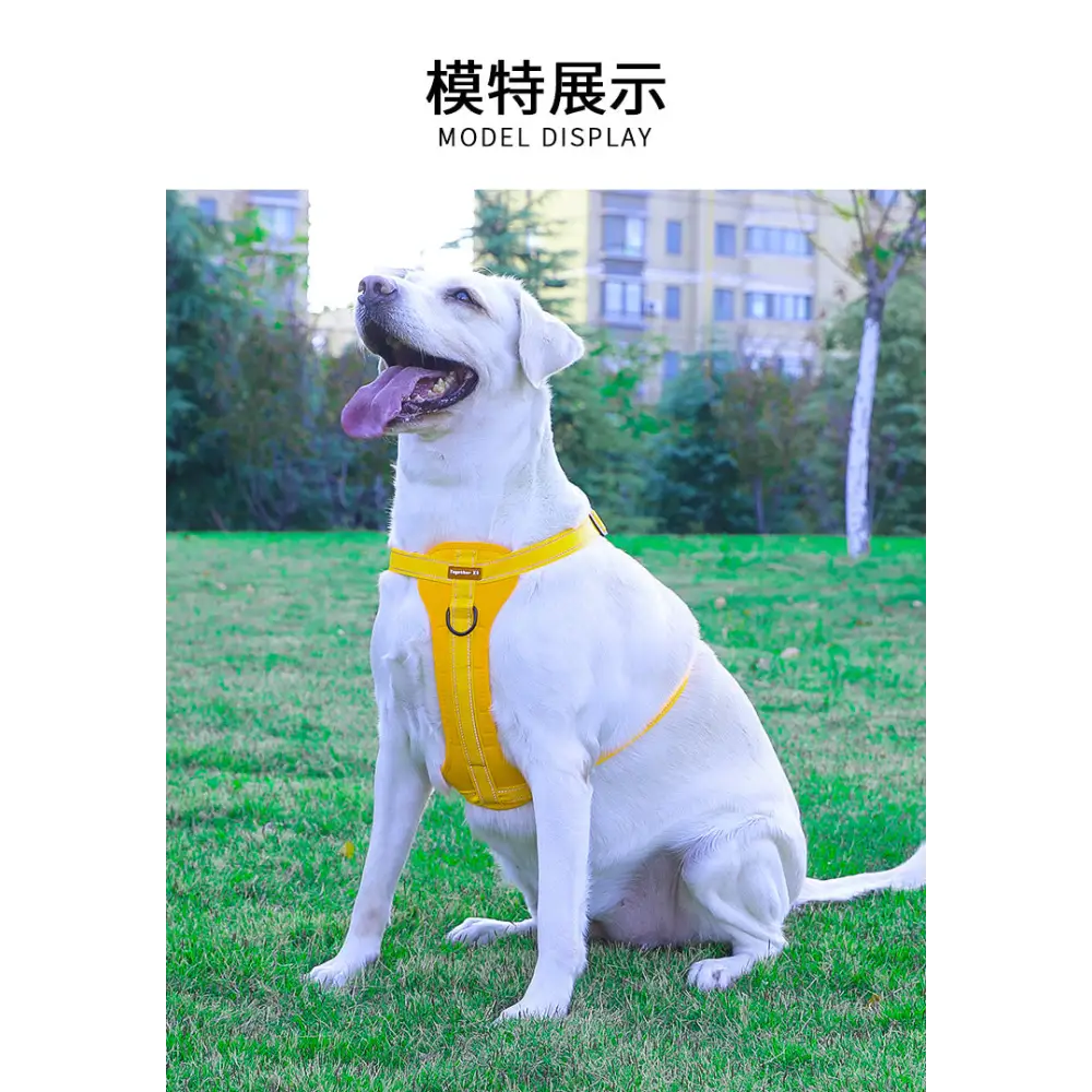 Reflective Dog Harness with Leash No-Pull Vest Harness for Dogs Adjustable Dog Vest with Handle Walking Training Pet