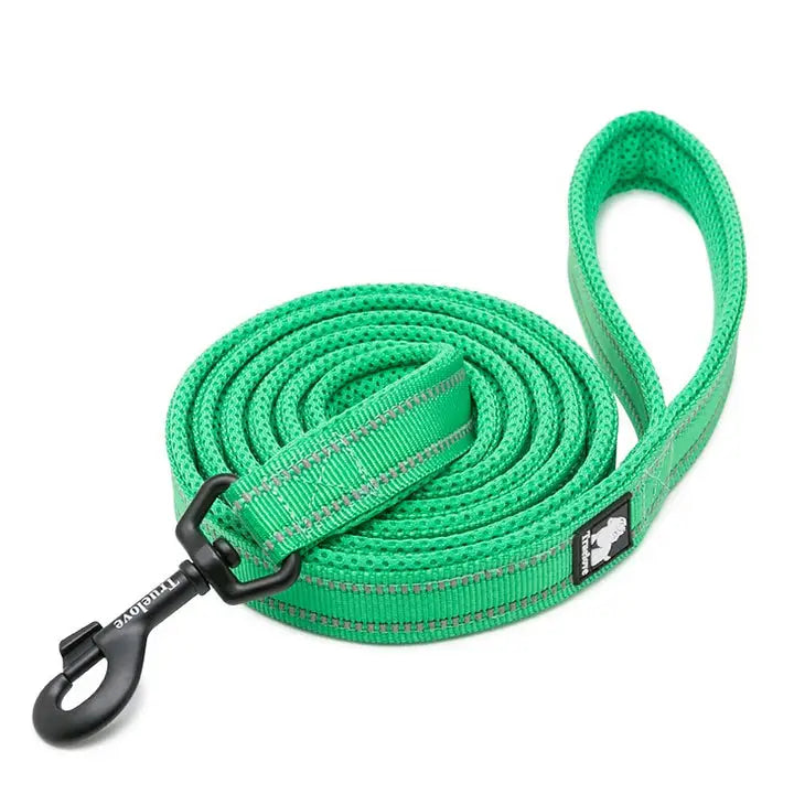 Reflective Pet Leash 2 meters Green XS - Pet Care > Dog Supplies > Dog Collars Leads & Harnesses