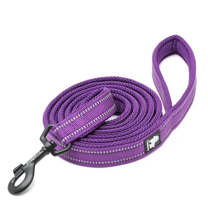 Reflective Pet Leash 2 meters Purple M - Pet Care > Cat Supplies > Cat Carriers & Crates