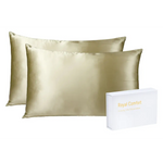 Royal Comfort Mulberry Soft Silk Hypoallergenic Pillowcase Twin Pack 51 x 76cm - Champagne - Home & Garden > Bedding