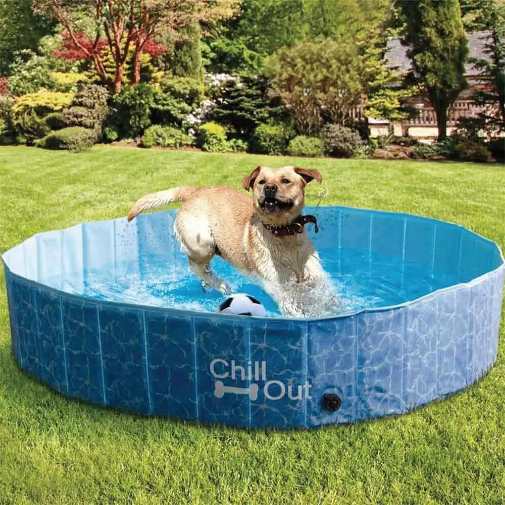 S Dog Swimming Pool - Chill Out Plastic Pet Puppy Bath Splash Fun All For Paws - Pet Care > Dog Supplies > Dog Collars