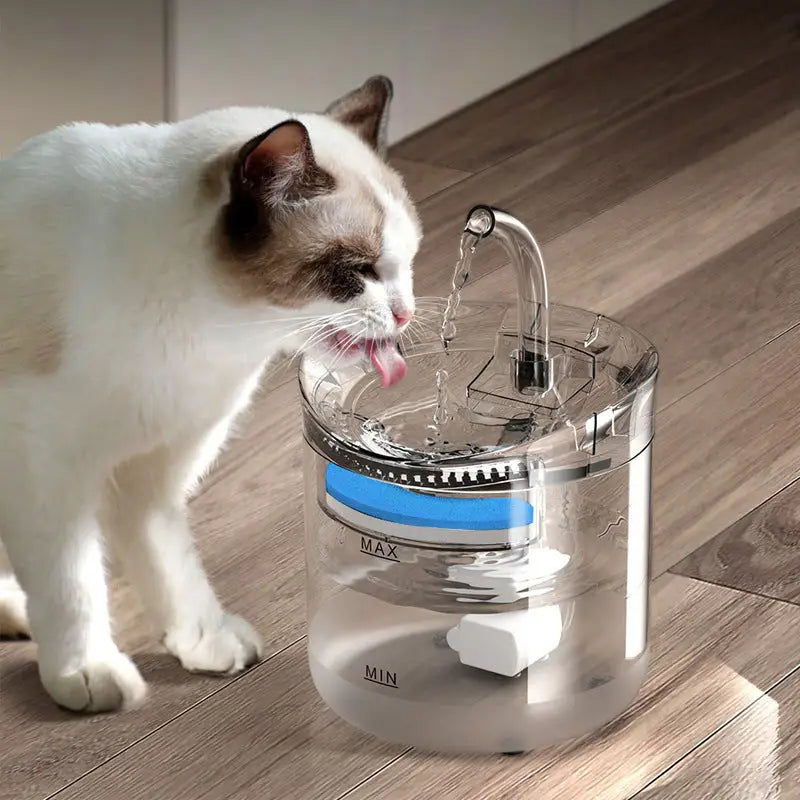 Sensor Kit 1 Pet Water Fountain with Smart Sensor EU Adapter and Filter - Pet Care > Cat Supplies > Cat Bowls Feeders &