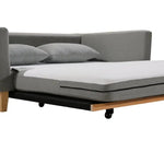 SHASA 2 Seater Pull-out Sofa bed Grey celadon - Furniture > Sofas