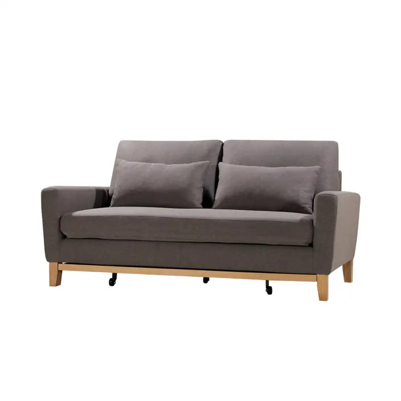 SHASA 2 Seater Pull-out Sofa bed Grey taupe - Furniture > Sofas