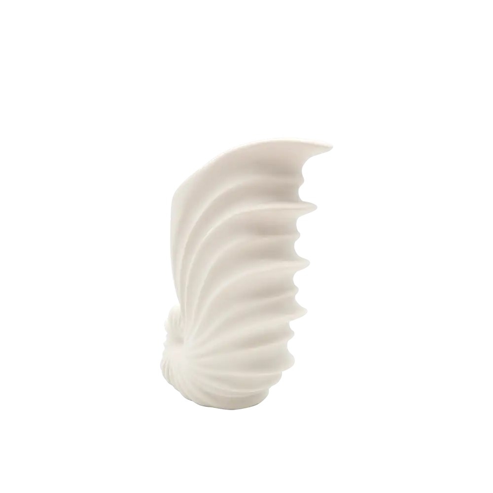 Shell White Ceramic Vase - Home & Garden > Decor