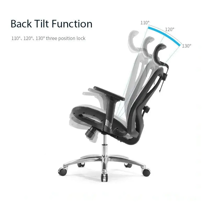 Sihoo M57 Ergonomic Office Chair Computer Chair Desk Chair High Back Chair Breathable,3D Armrest and Lumbar Support