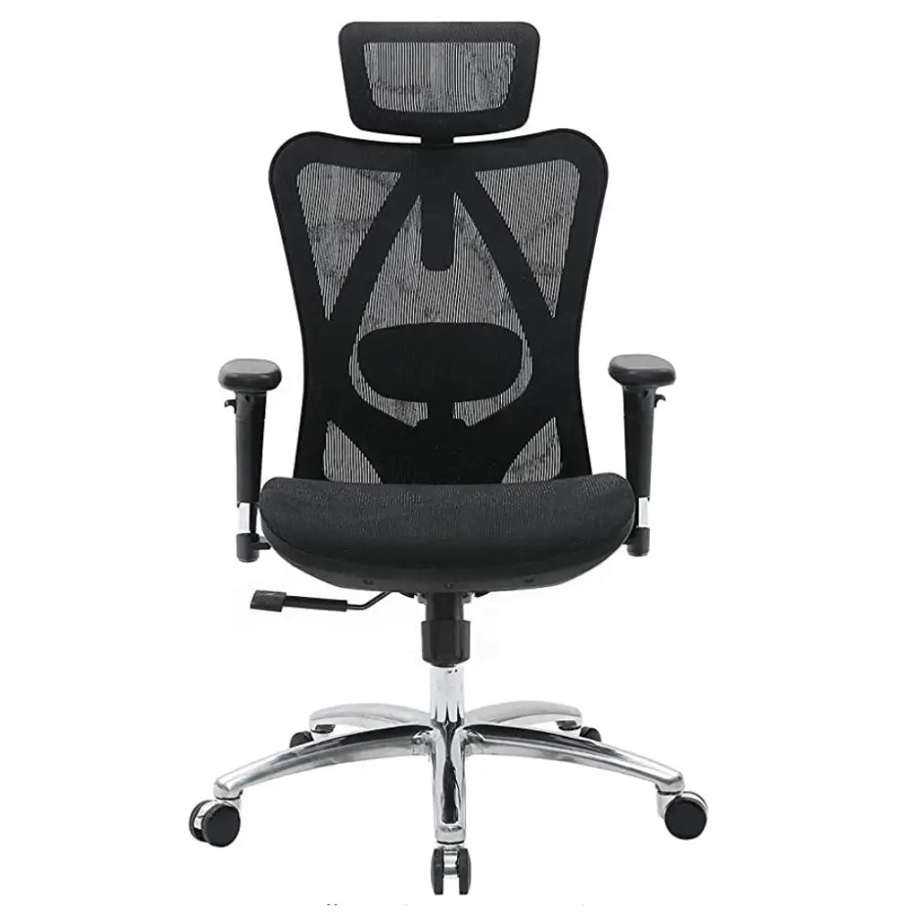 Sihoo M57 Ergonomic Office Chair Computer Chair Desk Chair High Back Chair Breathable,3D Armrest and Lumbar Support