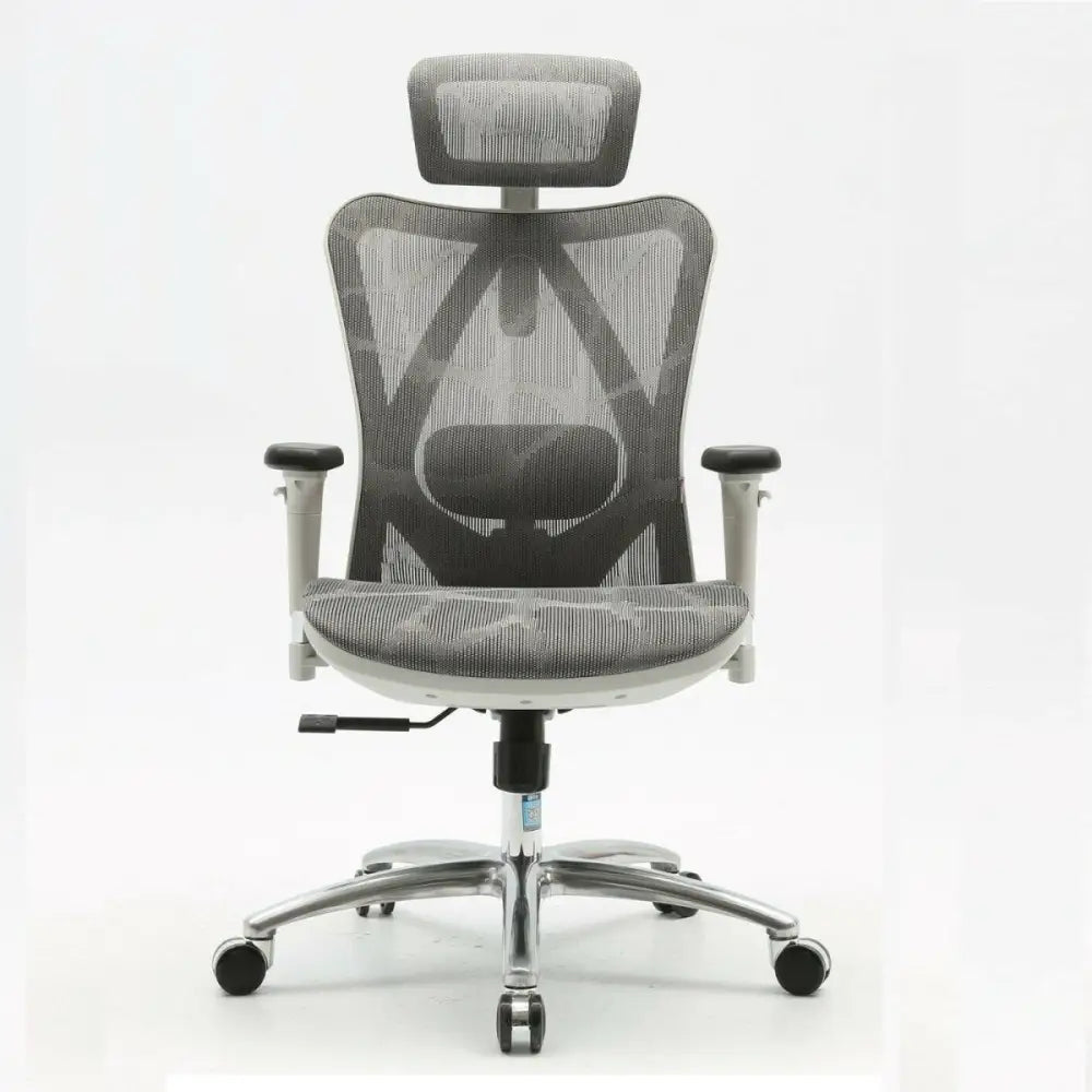 Sihoo M57 Ergonomic Office Chair Computer Chair Desk Chair High Back Chair Breathable,3D Armrest and Lumbar Support