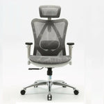 Sihoo M57 Ergonomic Office Chair Computer Chair Desk Chair High Back Chair Breathable,3D Armrest and Lumbar Support