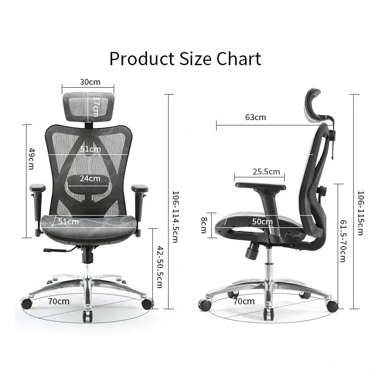Sihoo M57 Ergonomic Office Chair Computer Chair Desk Chair High Back Chair Breathable,3D Armrest and Lumbar Support
