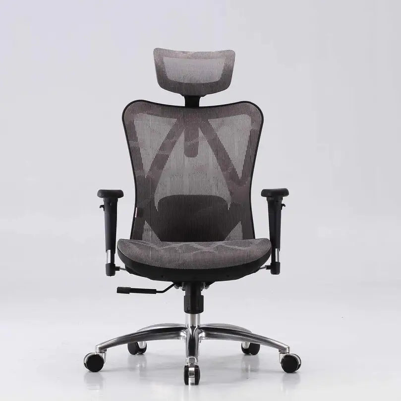 Sihoo M57 Ergonomic Office Chair Computer Chair Desk Chair High Back Chair Breathable,3D Armrest and Lumbar Support