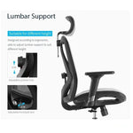 Sihoo M57 Ergonomic Office Chair Computer Chair Desk Chair High Back Chair Breathable,3D Armrest and Lumbar Support