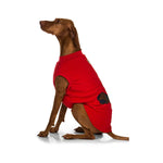 Sleeping Dog Pyjamas 35cm - Pet Care > Dog Supplies > Dog Beds