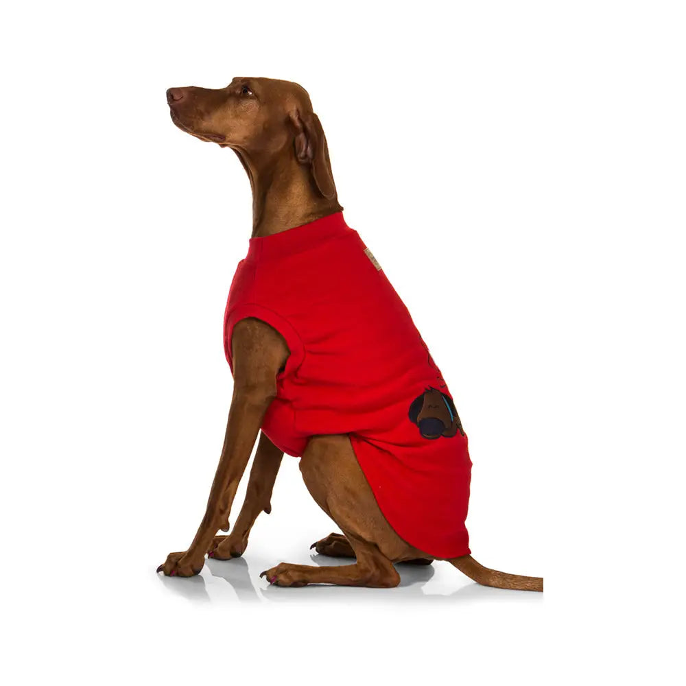 Sleeping Dog Pyjamas 35cm - Pet Care > Dog Supplies > Dog Beds