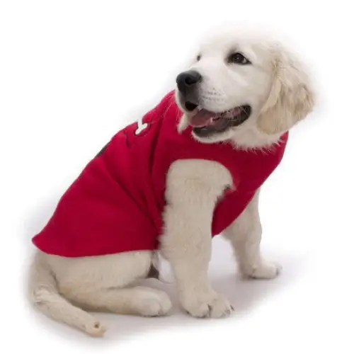 Sleeping Dog Pyjamas 70cm - Pet Care > Dog Supplies > Dog Beds