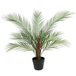 Small Artificial Areca Palm Plant 80cm - Home & Garden > Home & Garden Others