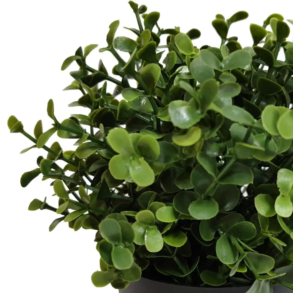 Small Potted Artificial Buxus Plant UV Resistant 20cm - Home & Garden > Artificial Plants