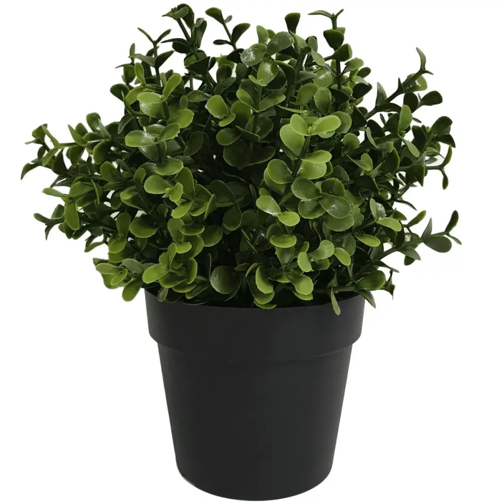 Small Potted Artificial Buxus Plant UV Resistant 20cm - Home & Garden > Artificial Plants